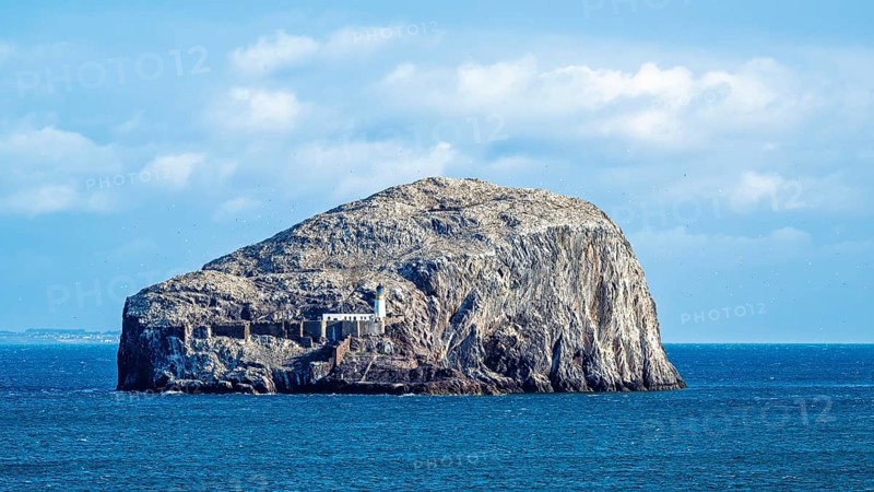 Bass Rock Island and Lighthouse, Scotland's Firth of Forth, Scotland, UK