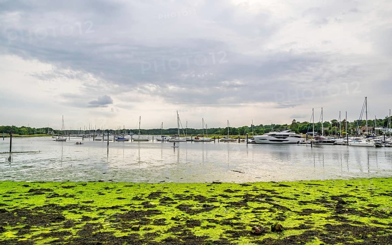 Swanwick Marina, River Hamble, Swanwick, Southampton, Hampshire, UK