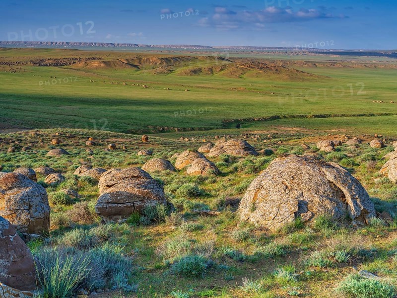 The large spherolites (concretions) at Torysh, with over 500–600 spheres of various sizes covering approximately 2–3 km² of terrain in the Valley of Balls, Mangystau region, Kazakhstan, Central Asia
