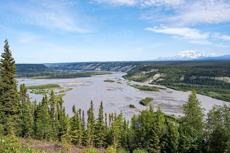 Copper River and Taiga landscape with forest, high mountain peaks in the back, Wrangell Mountains, Alaska, USA