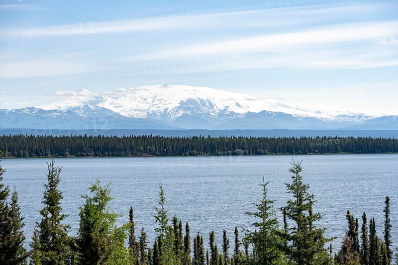 Lake Willow Lake, taiga landscape with high glaciated mountain peak Mount Wrangell, Wrangell Mountains, Alaska, USA