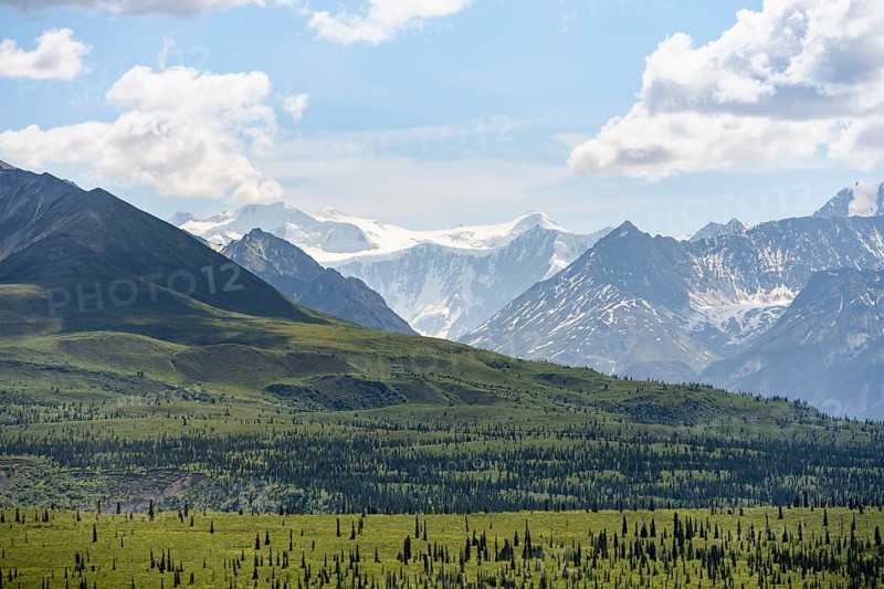 Taiga and tundra in front of mountain landscape, picturesque landscape with icy mountain peaks, Glenn Highway, Alaska, USA