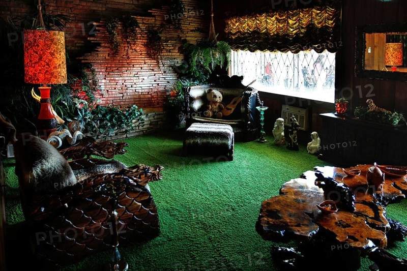 Living area with lush greenery and cozy atmosphere in Graceland, Memphis, Tennessee, USA