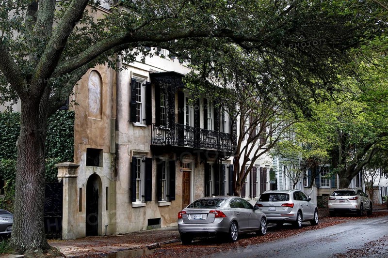 Historic buildings under big trees on a quiet street in Charleston, Charleston, South Carolina, USA