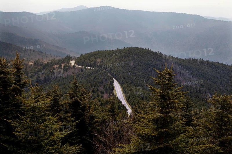 Serpentine road through wooded mountains, Mount Mitchell State Park, North Carolina, USA