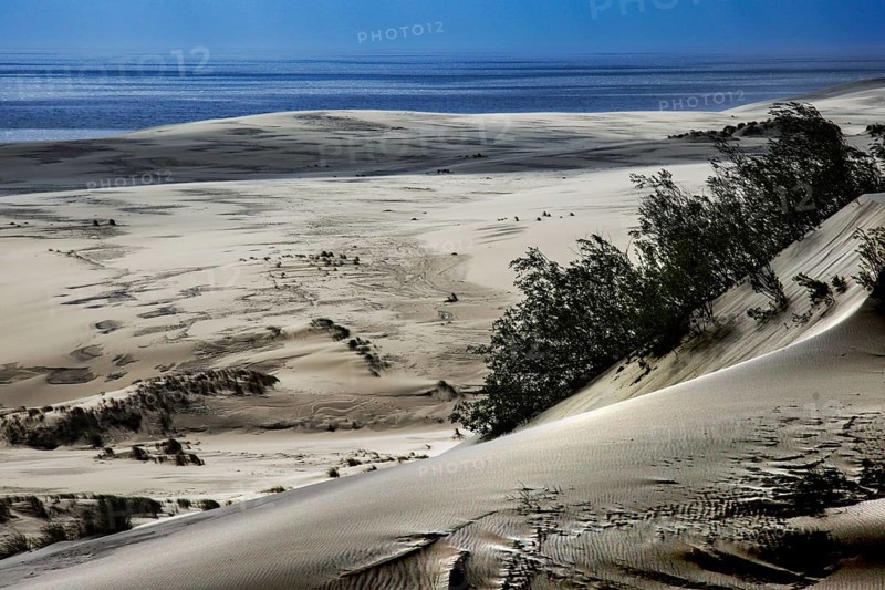 View of extensive sand dunes with small bushes and adjacent water, Ephas Height, Kaliningrad, Russia