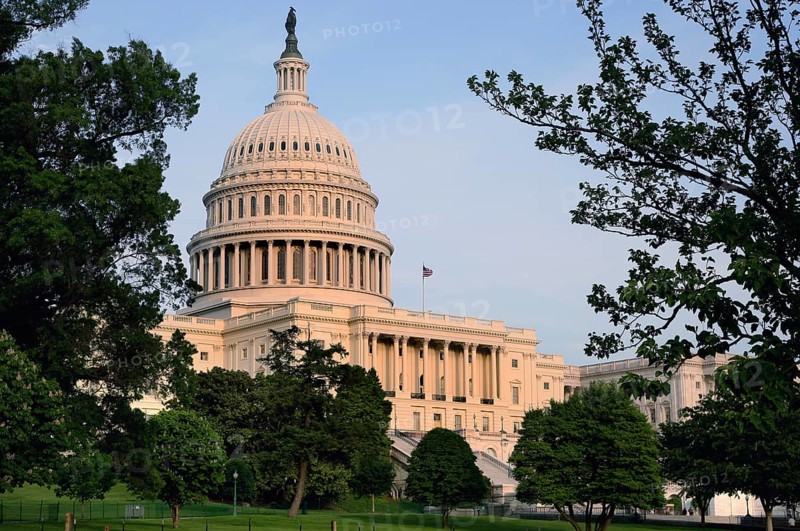 The Capitol rises majestically among green trees under blue skies, Washington D.C, USA