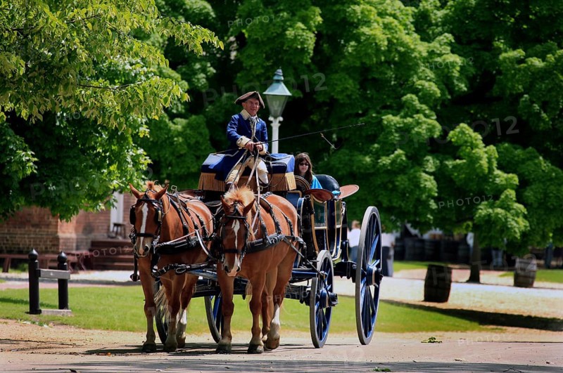 Historic horse-drawn carriage passes through Colonial Williamsburg, surrounded by green trees, Williamsburg, Virginia, USA