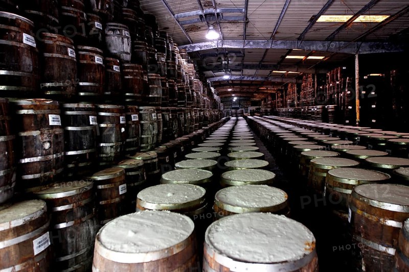 Storage room with endless rows of Tabasco barrels, Avery Island, Louisiana, USA