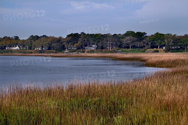 Tranquil water landscape with reeds and surrounding trees in Beaufort, Beaufort, South Carolina, USA