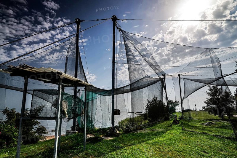 Bird observatory with nets under cloudy sky and sunlight on green terrain, Windenburg, Vente, LT