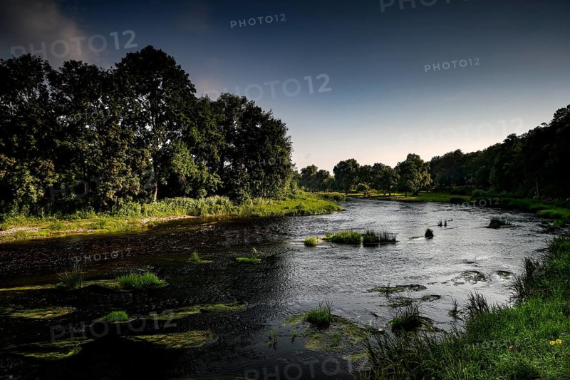 Peaceful river near Bauska surrounded by thick greenery and clear skies, Bauska, Latvia