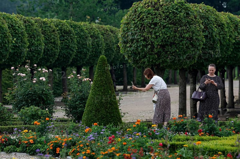 Visitors photograph colorful flowers between perfectly trimmed hedges, Rundale, Latvia