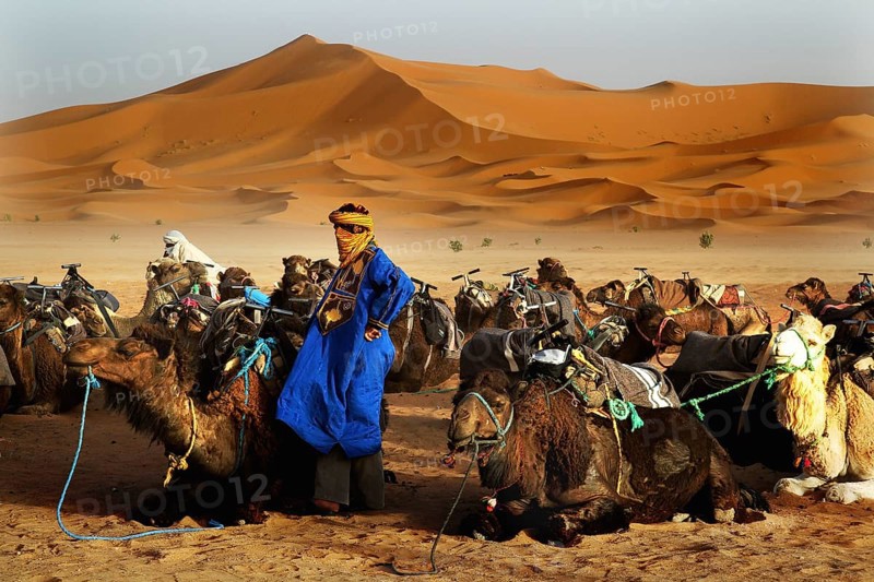 A Bedouin dressed in blue stands next to camels in a sand dune landscape, Erg Chebbi, Morocco