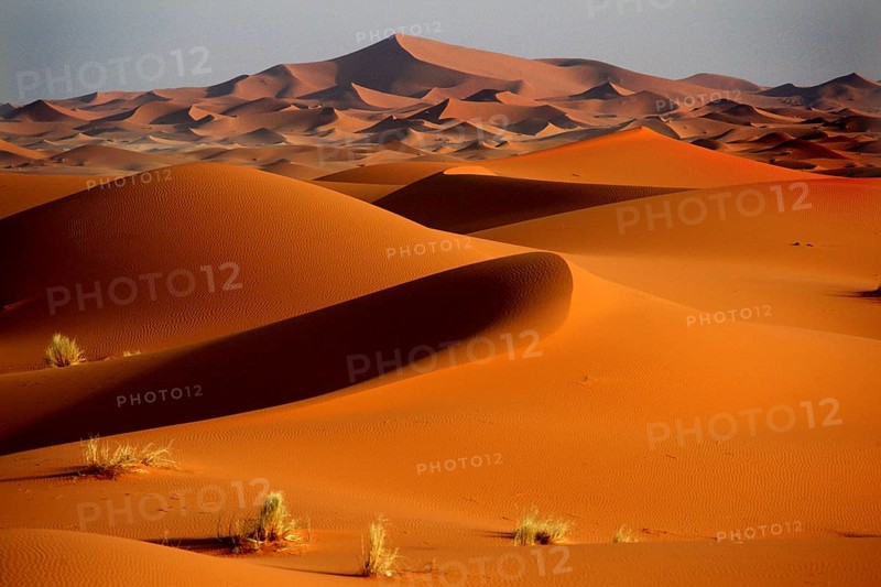 Extensive sand dune landscape with golden hills in Erg Chebbi, Erg Chebbi, Morocco