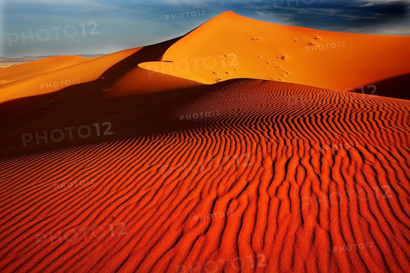 Windformed wave patterns in the sand dunes of the impressive Erg Chebbi, Erg Chebbi, Morocco