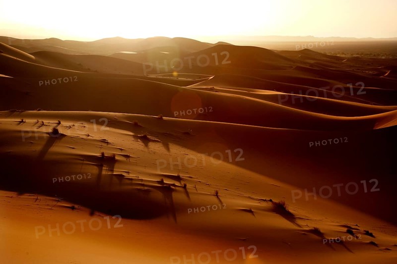 Sunset bathes the sand dunes of Erg Chebbi in golden light and shadow, Erg Chebbi, Morocco