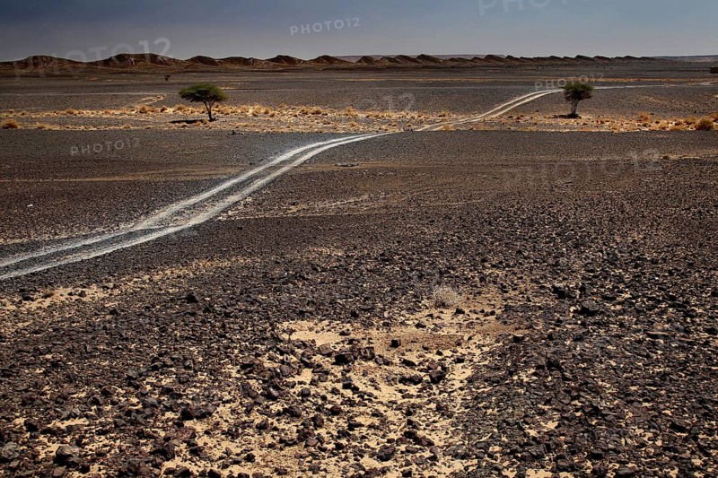 Trail leads through the rocky, dry landscape of Erfoud, Erfoud, Niger, Morocco