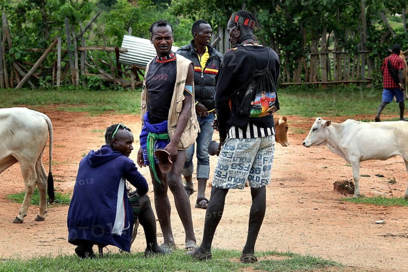 Men stand with cattle at a cattle market in Key Afar
