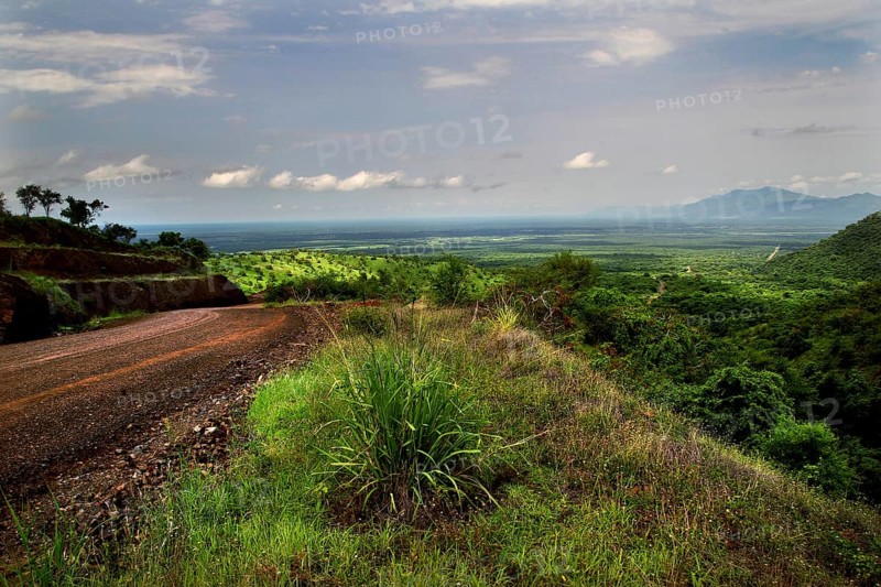 Breathtaking view of Mago National Park with a pristine green landscape, Mago National Park, region, Ethiopia