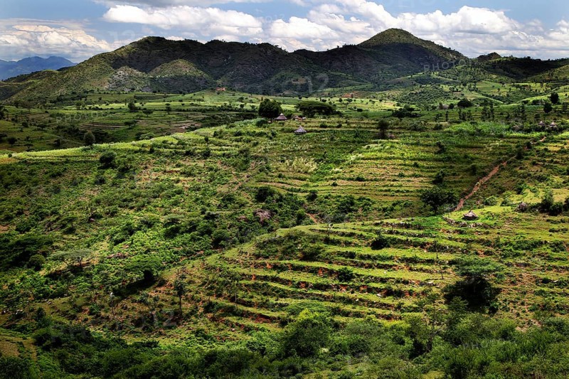 Panoramic view of terraced fields in Konso surrounded by rolling countryside, Konso, region, Ethiopia
