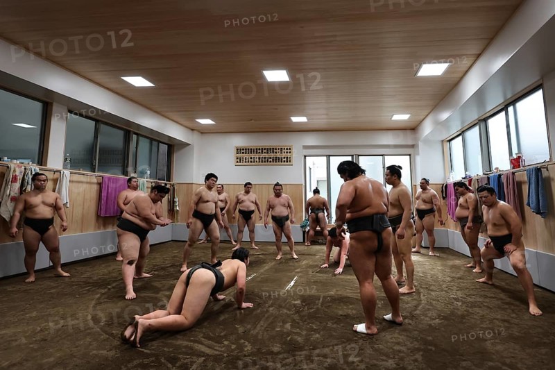 Training in the Ryogoku Sumo stable with several wrestlers in the room, Tokyo, Ryogoku, Japan
