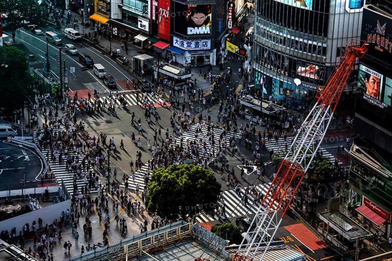 View from above of the busy Shibuya Intersection in Tokyo, Tokyo, Shibuya, Japan