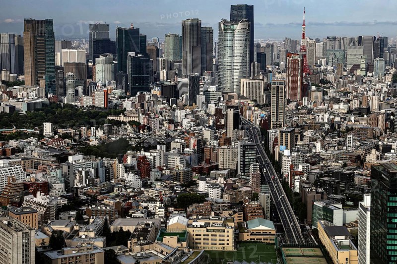Tokyo city panorama with modern skyscrapers and urban landscape, Tokyo, Kanto, Japan