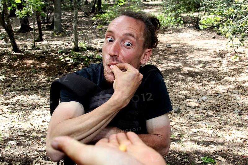 Man eats with an amused hand gesture in the forest, Azrou, Forèt des Cèdres, Morocco
