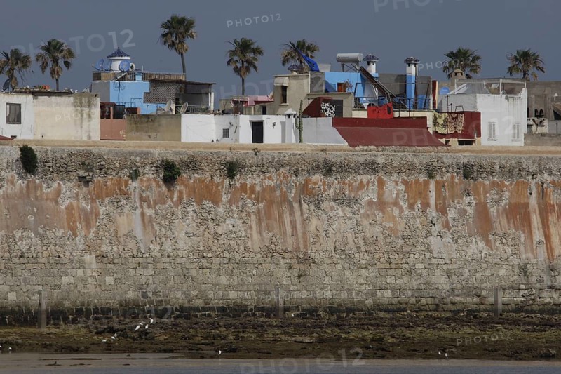 View of the Cité Portugaise of El Jadida with distinctive city walls and palm trees, El Jadida, Casablanca-Settat, Morocco