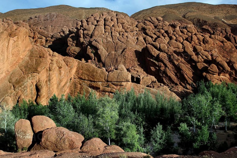 Impressive rock formations of the 'monkey paws' with dense vegetation at the foot of the gorge, Dadès, region, MA