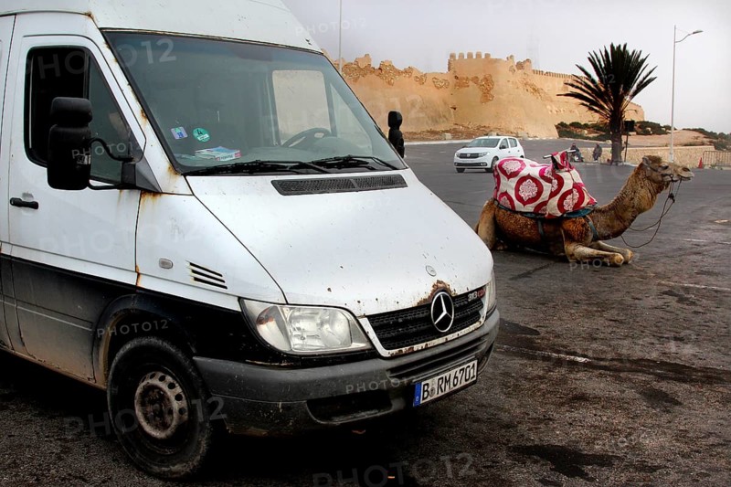 White van and a camel in a parking lot in front of a historic kasbah in Agadir, Agadir, zero, Morocco