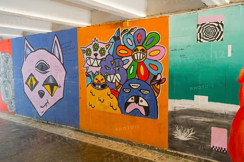 Colourful graffiti full of pop cultural elements and creative, surreal representations, underground graffiti, Gori, Inner Kartli region, Georgia