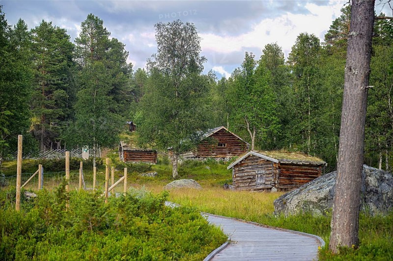 Small wooden huts on an alpine pasture in the forest with a hiking trail surrounded by trees, Gutulia National Park, Engerdal, Innlandet, Norway