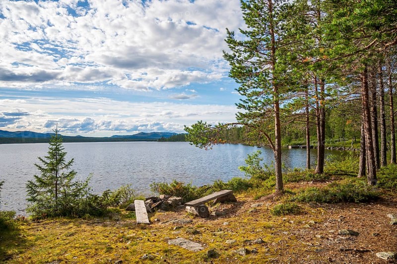 Bench overlooking a lake and surrounding forest landscape, Gutulia National Park, Engerdal, Innlandet, Norway