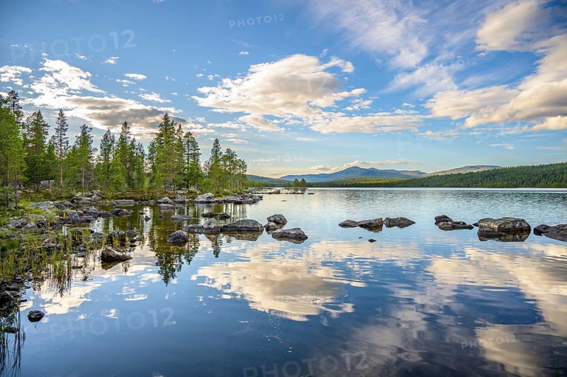Mirror-clear water surface of the lake with reflection of trees and clouds, Gutulia National Park, Engerdal, Innlandet, Norway
