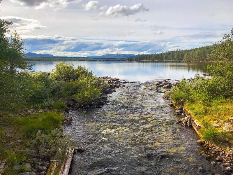 Drevsjø, Innlandet, Norway, A river flows into a calm lake surrounded by trees and a cloudy sky, Gutulia National Park, Engerdal, Innlandet, Norway
