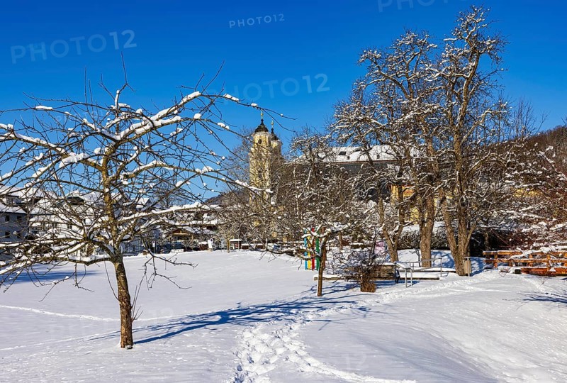 Snowy fruit trees with St. Michael Basilica, Mondsee, Mondseeland, Salzkammergut, Upper Austria, Austria