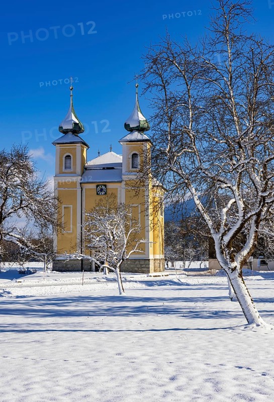 Snowy fruit trees with St. Lawrence Church in Sankt Lorenz bei Mondsee, Mondseeland, Salzkammergut, Upper Austria, Austria