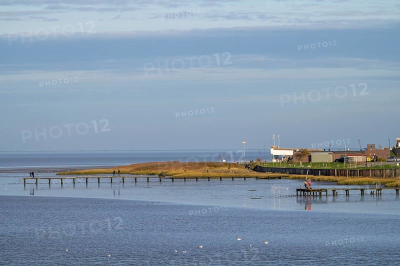 A coastline with footbridges and buildings under a wide, blue sky, Wadden Sea National Park, Jade Bay, Dangast, Varel, Lower Saxony, Germany