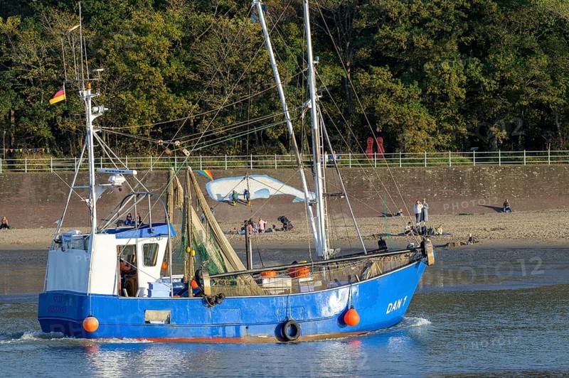 Blue fishing boat fishing boat on Jade Bay sails into Dangaster Harbour near the wooded shore under clear skies, Wadden Sea National Park, Jade Bay, Dangast, Varel, Lower Saxony, Germany