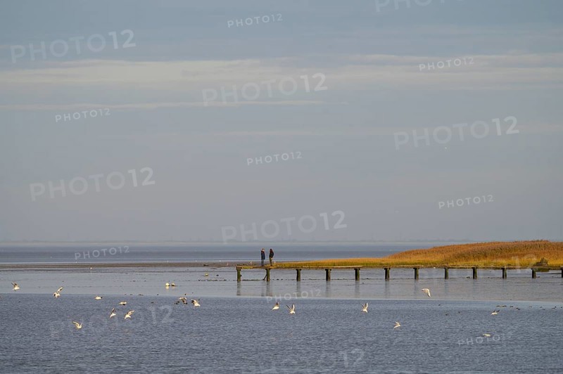 Two people stand on a jetty, seagulls fly across the calm sea, Wadden Sea National Park, Jade Bay, Dangast, Varel, Lower Saxony, Germany