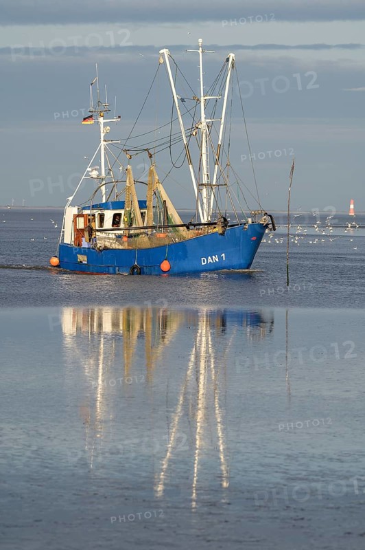 Blue fishing boat fishing trawler with reflection on still water under clear sky, Wadden Sea National Park, Jade Bay, Dangast, Varel, Lower Saxony, Germany