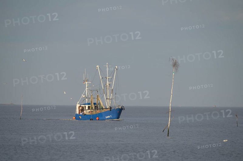 A fishing boat fishing trawler on the sea, surrounded by water and under a wide sky, pricks indicate the shipping channel, Wadden Sea National Park, Jade Bay, Dangast, Varel, Lower Saxony, Germany