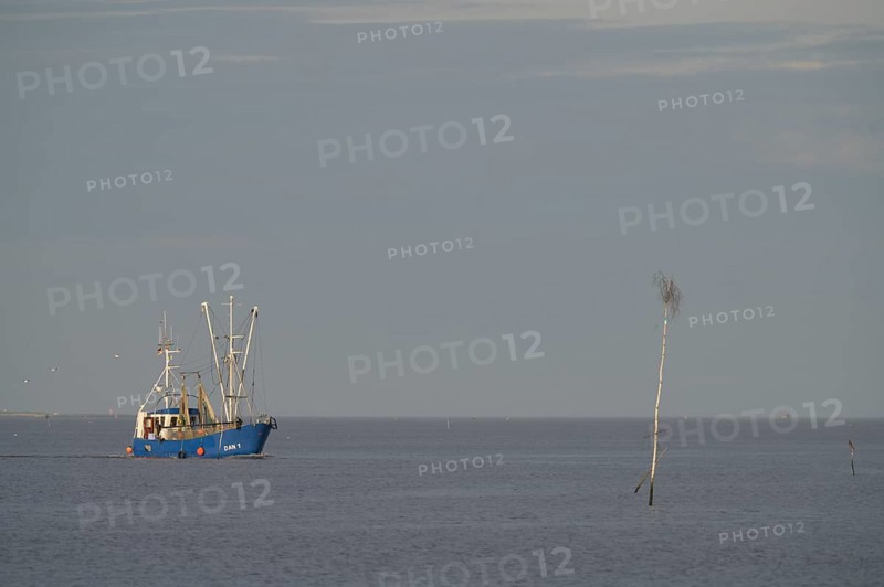 Fishing boat fishing trawler sails across calm sea jade breasts under a wide, cloudless sky on the right a pricke, Wadden Sea National Park, Jade Bay, Dangast, Varel, Lower Saxony, Germany