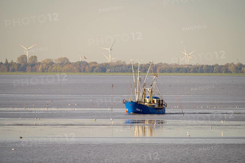 A fishing boat fishing trawler fishing trawler in the sea with wind turbines in the background and seagulls in the sky, Wadden Sea National Park, Jadebusen, Dangast, Varel, Lower Saxony, Germany