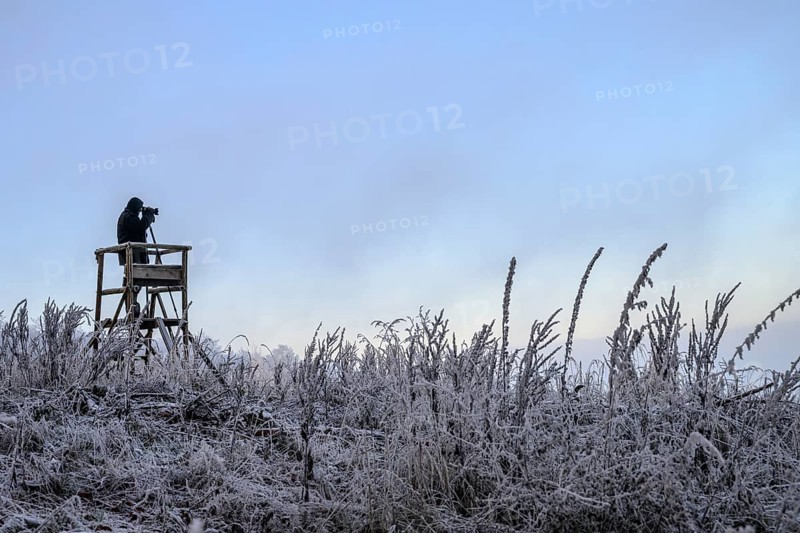 A photographer stands on a platform in a frosty landscape with cool, clear sky, Teutoburg Forest, Osnabrücker Land, Lower Saxony, Germany