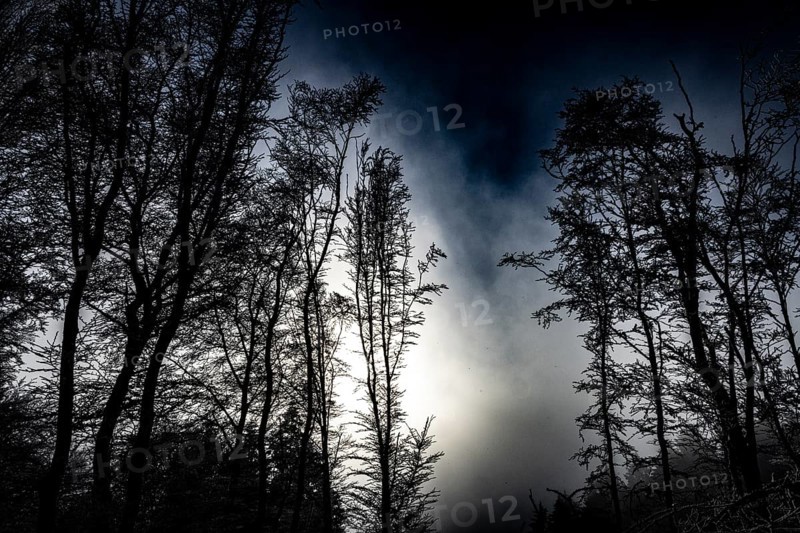 Black tree silhouettes against a dramatically cloudy night sky, Teutoburg Forest, Osnabrücker Land, Lower Saxony, Germany
