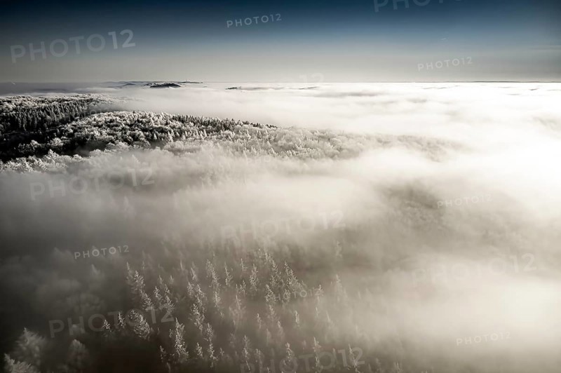 Holland, Borgholzhausen, North Rhine-Westphalia, Germany, Frosty treetops rise through a blanket of fog in a dream winter landscape, aerial view