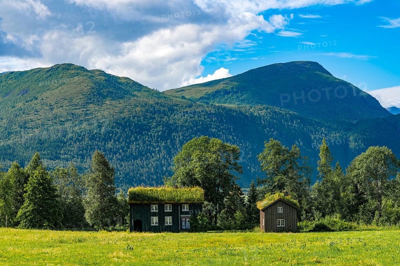 Two houses with grass roofs in a green landscape against mountains and a blue sky